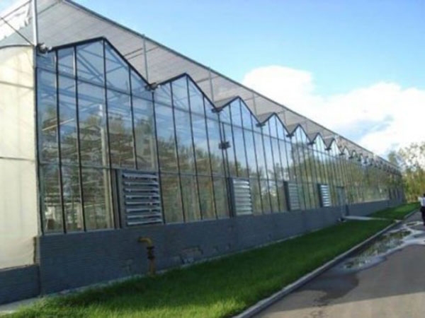 1622fa42f364ba3c576a6fb49ecfbc1d